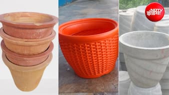 Gardening Tips: मिट्टी, सीमेंट या प्लास्टिक... आपके पौधों के लिए कौन सा गमला रहेगा सबसे अच्छा, जानिए यहां