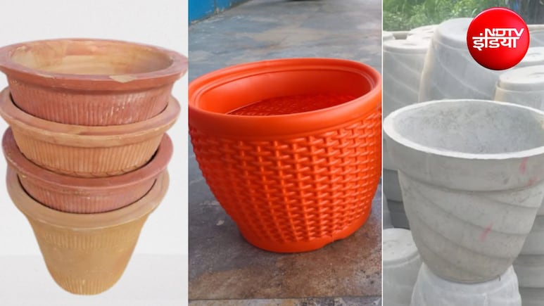 Gardening Tips: मिट्टी, सीमेंट या प्लास्टिक... आपके पौधों के लिए कौन सा गमला रहेगा सबसे अच्छा, जानिए यहां