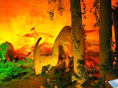 Delhi Opens Interactive Dinosaur Gallery With Life-Size Robotic Creatures