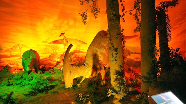 Delhi Opens Interactive Dinosaur Gallery With Life-Size Robotic Creatures