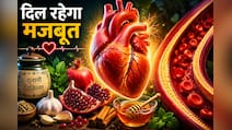 हार्ट हेल्थ के लिए यूनानी रेमेडी: पुराने जमाने के वो तरीके जो आज भी हैं रामबाण