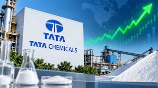 Tata Chemicals Shares Hit 20% Upper Circuit As Tata Sons Listing Expectations Rise