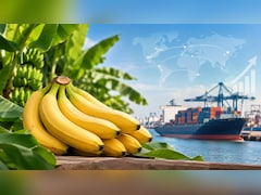 Bananas Can Get More Foreign Investment: Here's What Government Is Planning