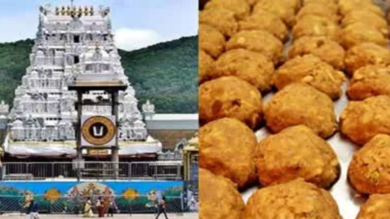 तिरुपति बालाजी: केमिकल और पाम ऑयल से बनाया गया था लड्डू प्रसादम, सुकृति फूड्स का मालिक गिरफ्तार