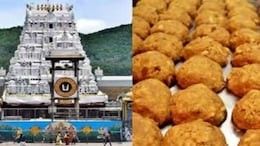 तिरुपति बालाजी: केमिकल और पाम ऑयल से बनाया गया था लड्डू प्रसादम, सुकृति फूड्स का मालिक गिरफ्तार