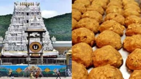 तिरुपति बालाजी: केमिकल और पाम ऑयल से बनाया गया था लड्डू प्रसादम, सुकृति फूड्स का मालिक गिरफ्तार