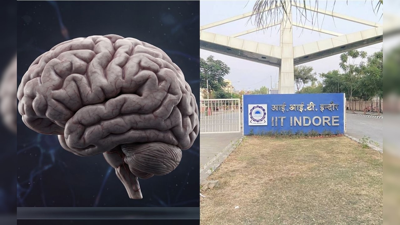 अब AI समझ रहा इंसानी दिमाग की भाषा! IIT इंदौर में ब्रेन हेल्थ पर हो रही बड़ी रिसर्च