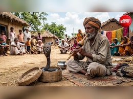 बीन की आवाज सुनकर क्या वाकई नाचने लगती है नागिन? जान लीजिए जवाब