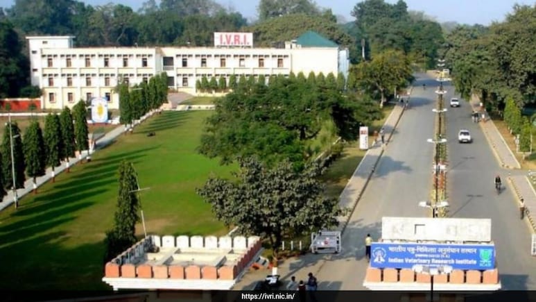 Indian Veterinary Research Institute Bareilly Students Protest Over Internship Stipend, Seek Rs 25,000