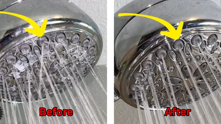 Shower Cleaning Trick: 7 रुपये खर्च करके ऐसे चमकाएं शॉवर, गंदगी के साथ छोटी-मोटी परेशानी भी होगी दूर