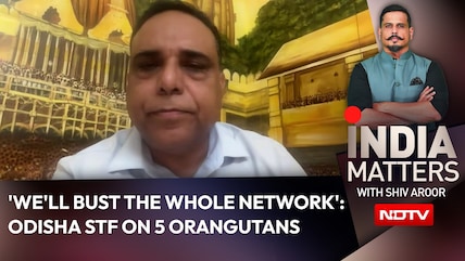 'We'll Bust The Whole Network': Odisha STF On 5 Orangutan Babies