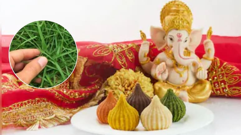 गणेश जी को 21 दूर्वा क्यों चढ़ाई जाती हैं? जानें सही तरीका और महत्व