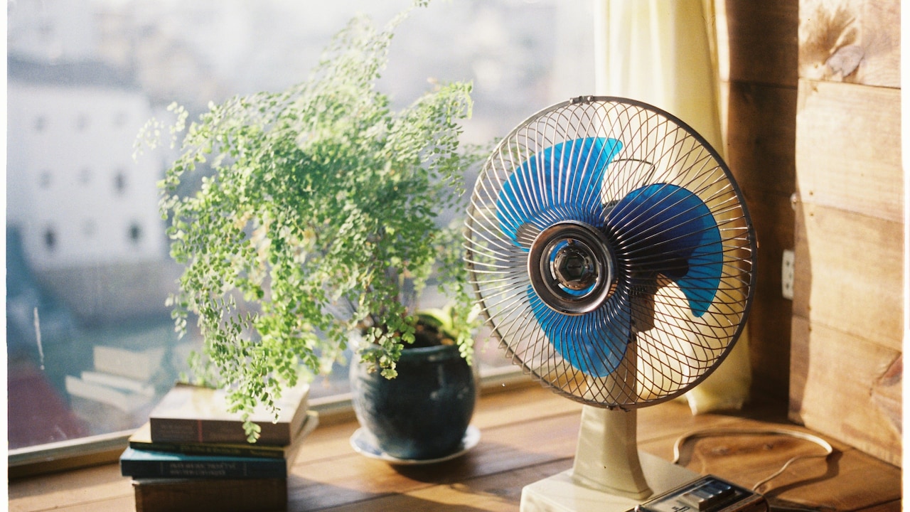 Does Wiping The Outside Keep A Tower Fan Clean? 10 Fan-Maintenance Myths Explained Does Wiping The Outside Keep A Tower Fan Clean? 10 Fan-Maintenance Myths Explained