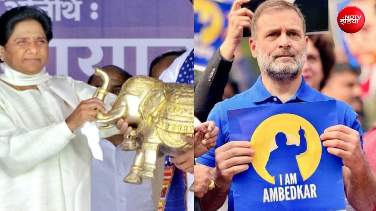 Explainer: उत्तर प्रदेश में हाथी की सुस्ती से किसे फायदा, क्या किसी रणनीति पर चल रहे राहुल गांधी?