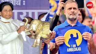 Explainer: उत्तर प्रदेश में हाथी की सुस्ती से किसे फायदा, क्या किसी रणनीति पर चल रहे राहुल गांधी?