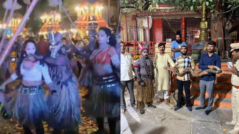 Python, Chicken Rescued During Ganesh Visarjan Procession In Hyderabad