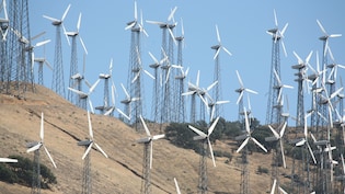 India Soon To Be 3rd Largest Wind Energy Player: Govt Official