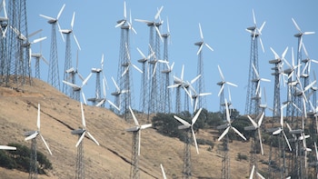 India Soon To Be 3rd Largest Wind Energy Player: Govt Official