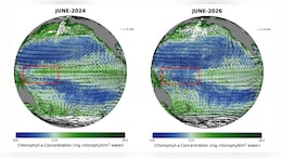 ISRO's Oceansat-3 Captures El Nino's Impact On Marine Productivity In Equatorial Pacific Ocean