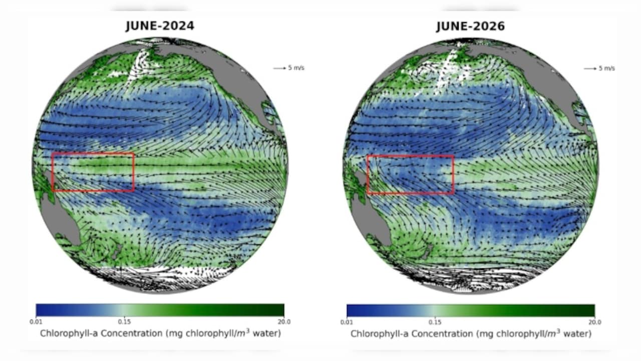 ISRO's Oceansat-3 Captures El Nino's Impact On Marine Productivity In Equatorial Pacific Ocean