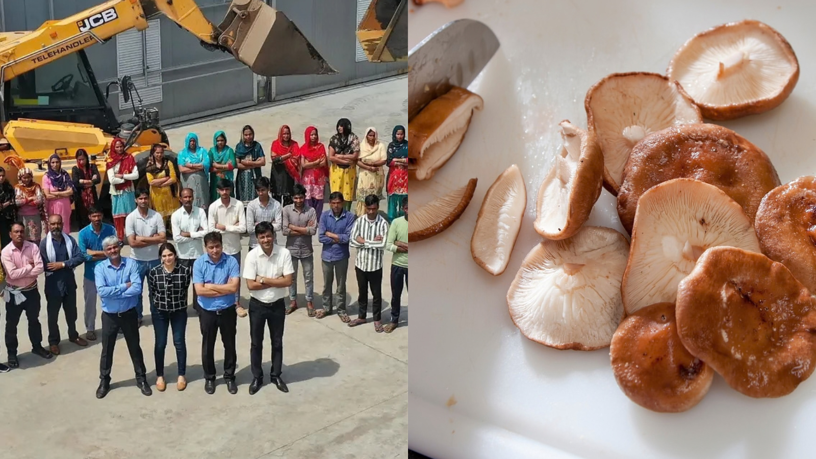 IIT-IIM Graduates Quit US Jobs To Grow Mushrooms, Now Grow Exotic Varieties