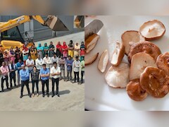 IIT-IIM Graduates Quit US Jobs For Mushroom Farming, Now Grow 10+ Exotic Varieties