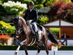 "Podium Finish Is Possible": India Dressage Athlete Hriday Chheda On Asian Games 2026 Hopes