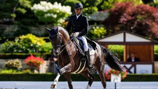 "Podium Finish Is Possible": India Dressage Athlete Hriday Chheda On Asian Games 2026 Hopes