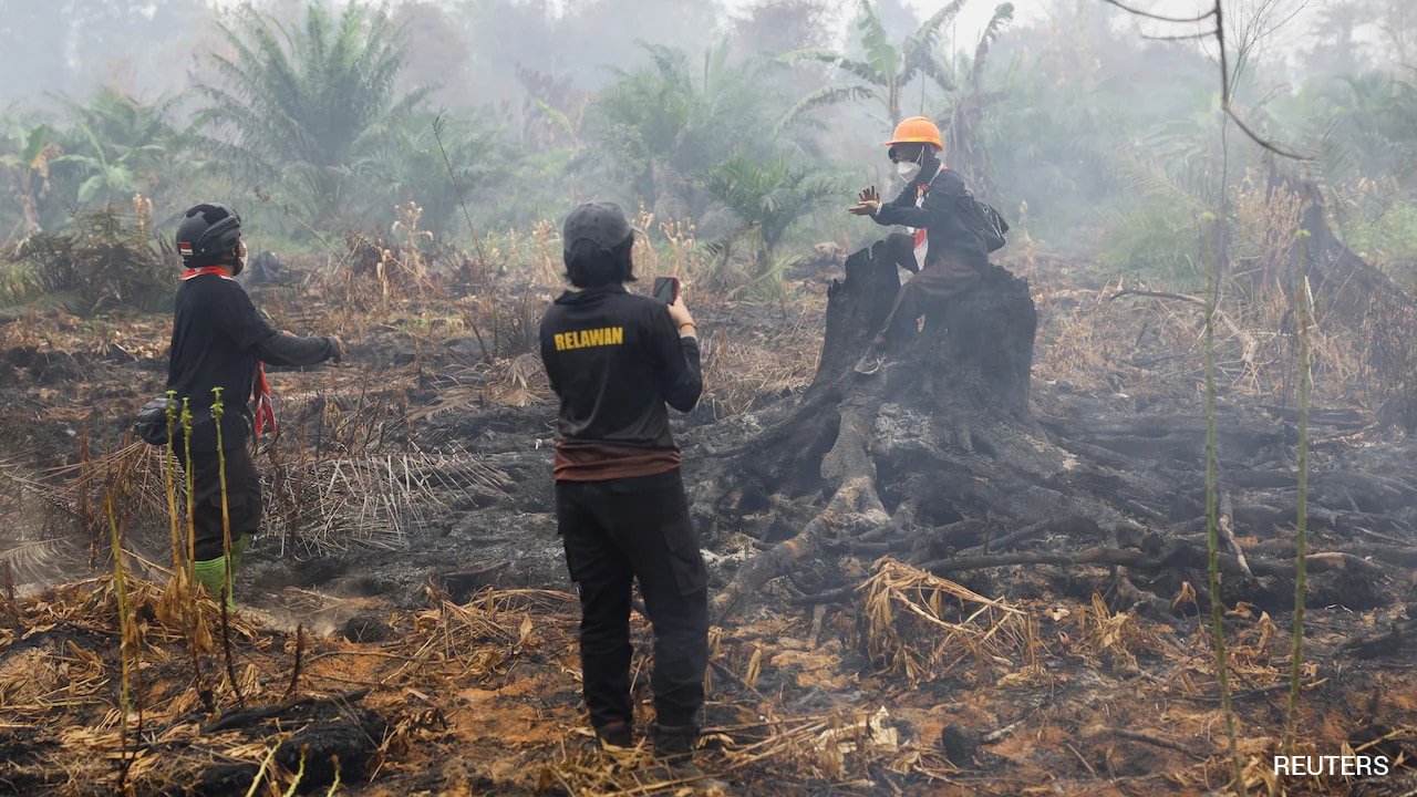 Indonesia's Wildfires May Last Until Early November, Says Forestry Minister