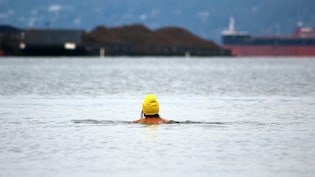 Indonesian Ship Carrying Over 240 Passengers Loses Contact, Search Underway