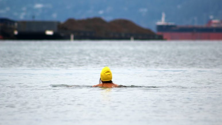 Indonesian Ship Carrying Over 240 Passengers Loses Contact, Search Underway