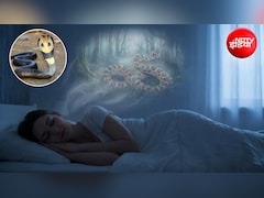 Snake in Dreams: क्या आपको भी सपने में बार-बार दिखते हैं सांप? ज्योतिषाचार्य से जानिए क्या होता है संकेत