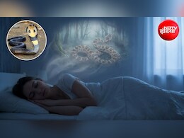 Snake in Dreams: क्या आपको भी सपने में बार-बार दिखते हैं सांप? ज्योतिषाचार्य से जानिए क्या होता है संकेत