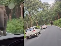 Video: Narrow Escape For Kerala Family As Elephant Charges At Vehicle