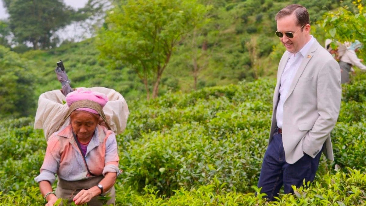 US Ambassador Sergio Gor Visits Darjeeling's Historic Makaibari Tea Estate, Calls It An 'Iconic Tradition'
