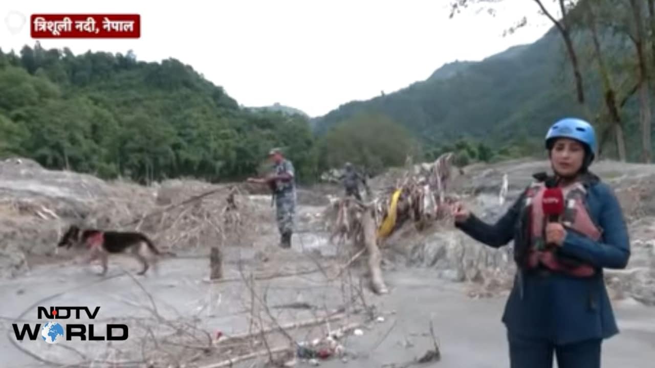 VIDEO: नेपाल में स्निफर डॉग्स को लगाया गया अब काम पर, लापता लोगों की कर रहे तलाश