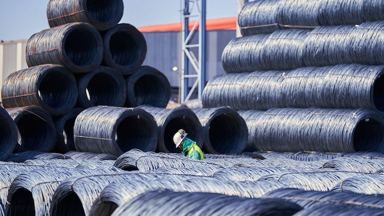 Tata Steel Infuses Rs 3,260 Crore In Singapore Arm T Steel Holdings Via Equity Mop-Up