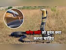 Snakebite: अगर आपको काट ले सांप... तो जानें काटने के बाद तुरंत क्या करें और किन गलतियों से बचें