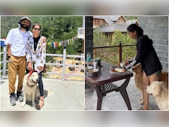 बेंगलुरु छोड़कर हिमालय के गांव में बसे कपल ने बताया पहाड़ों में रहने का खर्च, कहा- 'हम 3BHK में रहते हैं'