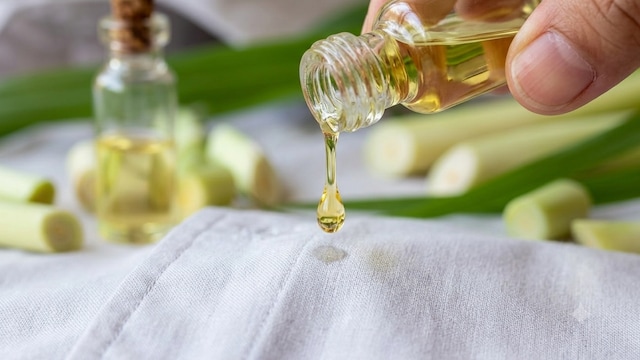A drop of citronella oil on your clothes could be used to prevent mosquito bites
