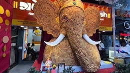Watch: Pune Chaat Shop Owners Create 13-Foot-Tall Ganesha Idol Using 21,000 Pani Puris