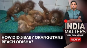 How Did 5 Orangutans Travel From Borneo & Sumatra To Odisha?