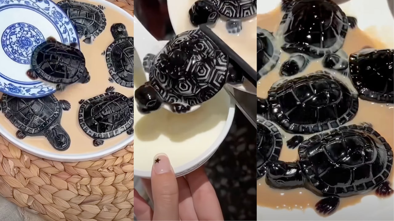 Move Over Boba, This Turtle-Shaped Chinese Herbal Jelly Is The New Food Craze