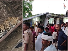 बहराइच में झोपड़ी में घुस चारपाई पर आराम फरमाने लगा तेंदुआ, देखते ही उड़े दुकानदारों के होश