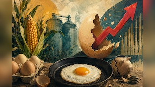 Egg Prices Are Set To Crack Higher This Winter. Can Better Maize Policy Save Your Breakfast Budget?