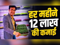 मोहित निझावन: 90 लाख का पैकेज छोड़ा, 30 हजार से शुरू की खेती, 100 Sq Ft के कमरे से बना डाले करोड़ों रुपए
