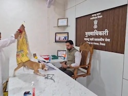 Video: Yuva Sena Workers Release Stray Dogs On Nashik Official's Table