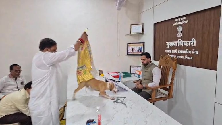 They Let The Dogs Out: Netas' Unique Protest On Nashik Official's Table