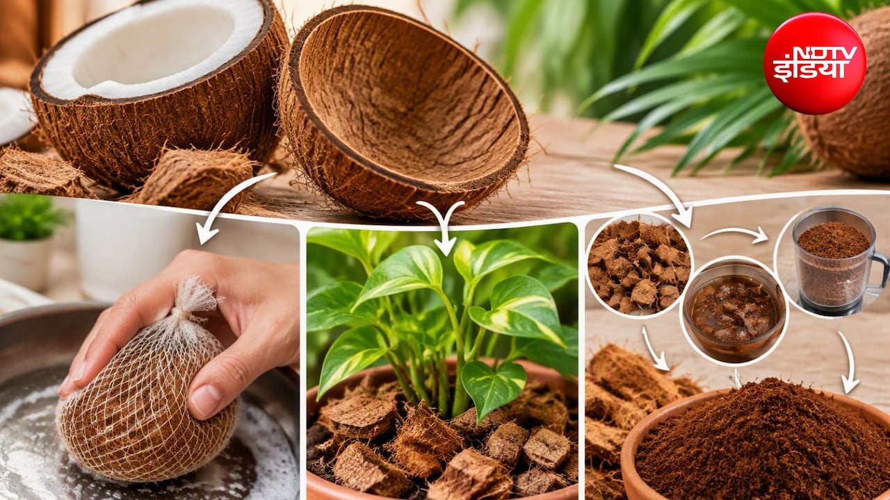 Coconut Peel DIY Hacks: कचरा नहीं हैं नारियल के छिलके, इन 3 तरीकों से करें इस्तेमाल, जानिए हैक्स