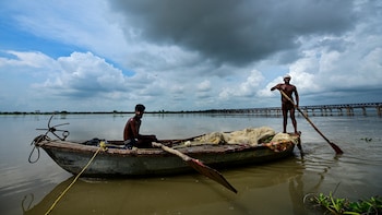 Bihar Warns People Against Consuming Dead Fish Found After Nepal Floods